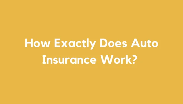 An illustration explaining how auto insurance works